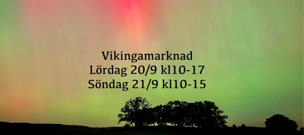 Gudahagens Vikingamarknad