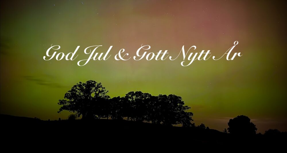 Gudahagens Vikingamarknad