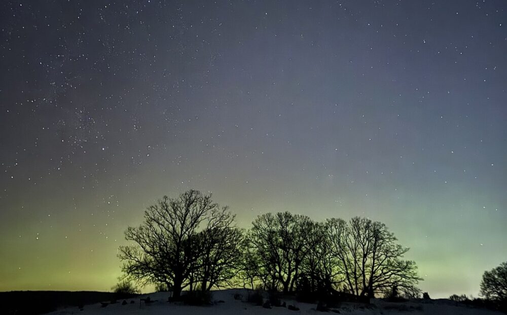 Gudahagens Vikingamarknad